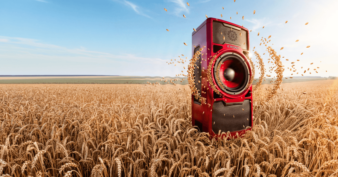 LG RESONANZ - B-Winterweizen, Kompensationstyp